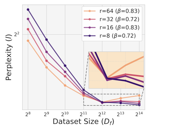 Scaling Law-P